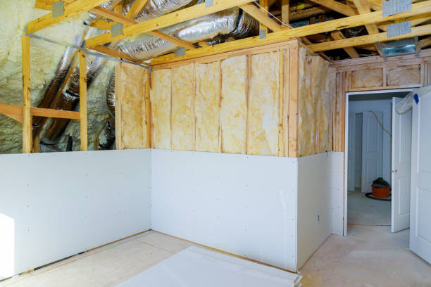 Best Insulation Removal  in Dover, DE