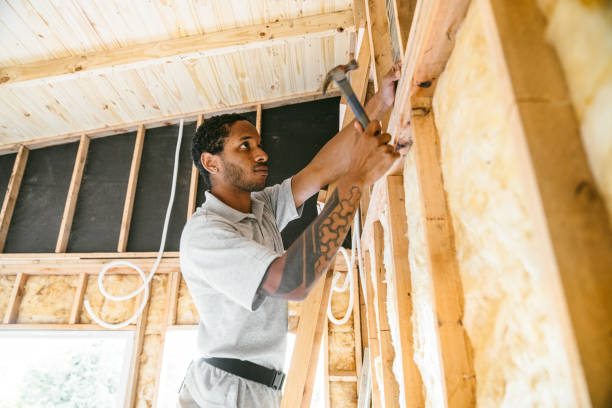 Best Insulation Replacement Services  in Dover, DE