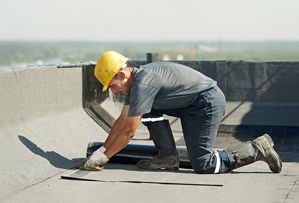 Best Insulation Contractor Near Me  in Dover, DE